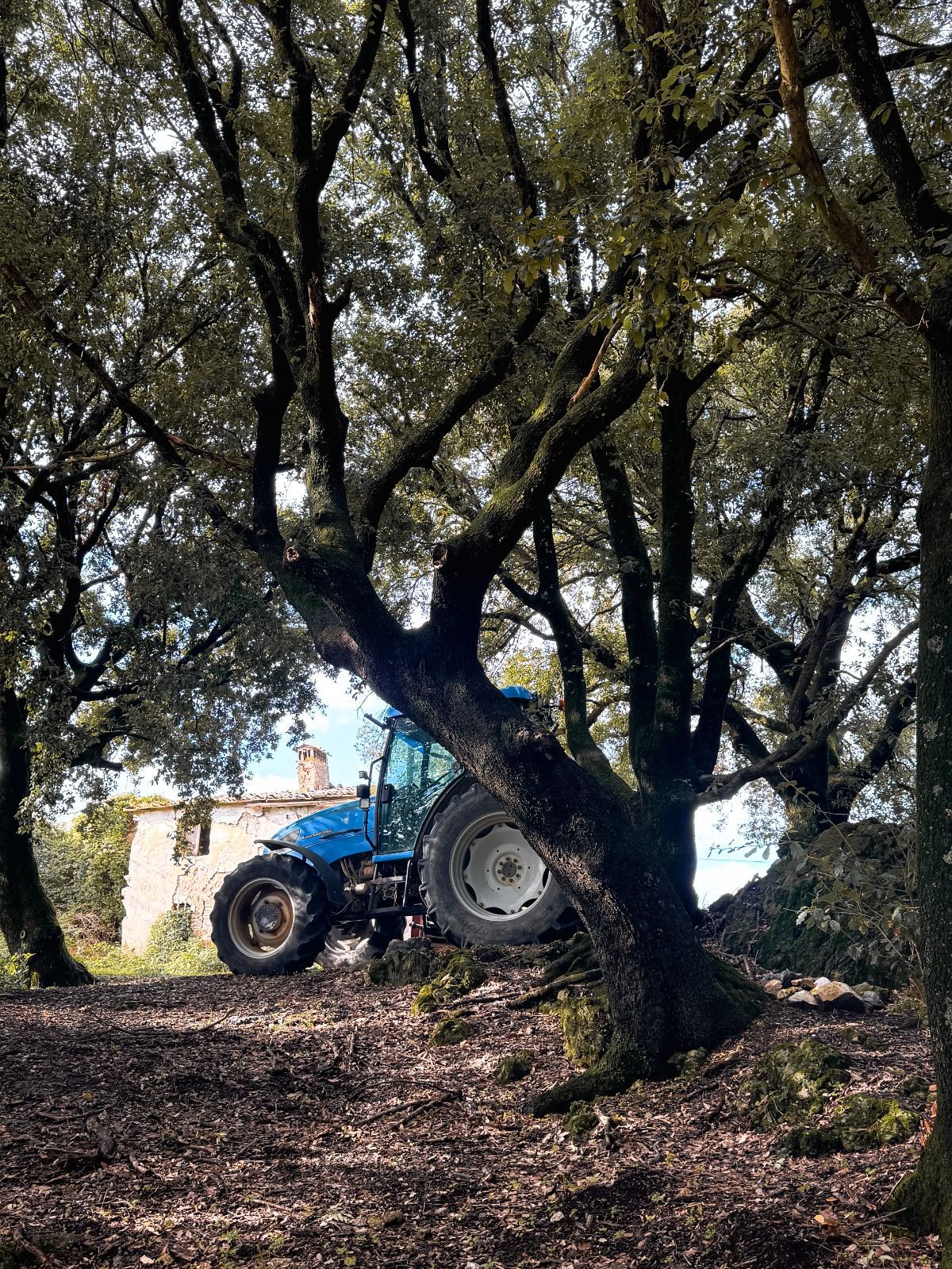 Con il camper in mezzo al verde delle campagne toscane