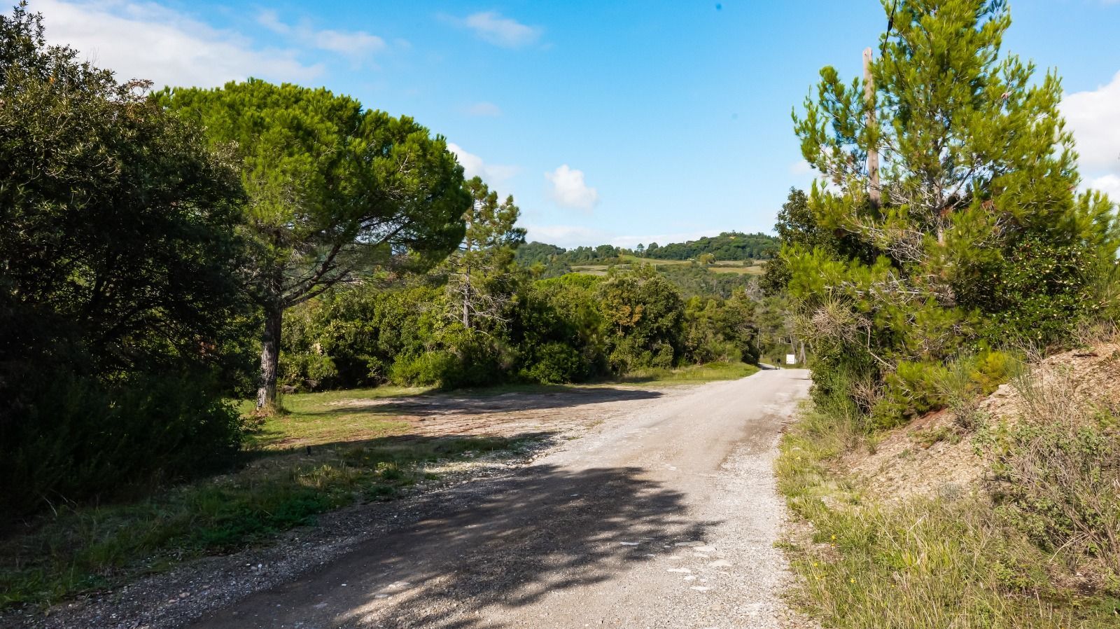 Con il camper in mezzo al verde delle campagne toscane