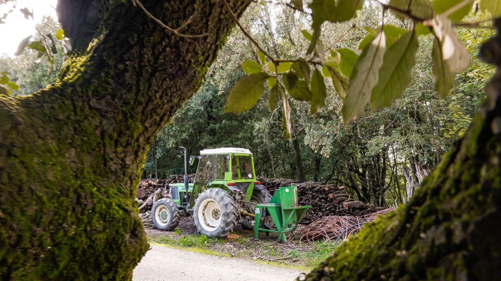 Con il camper in mezzo al verde delle campagne toscane