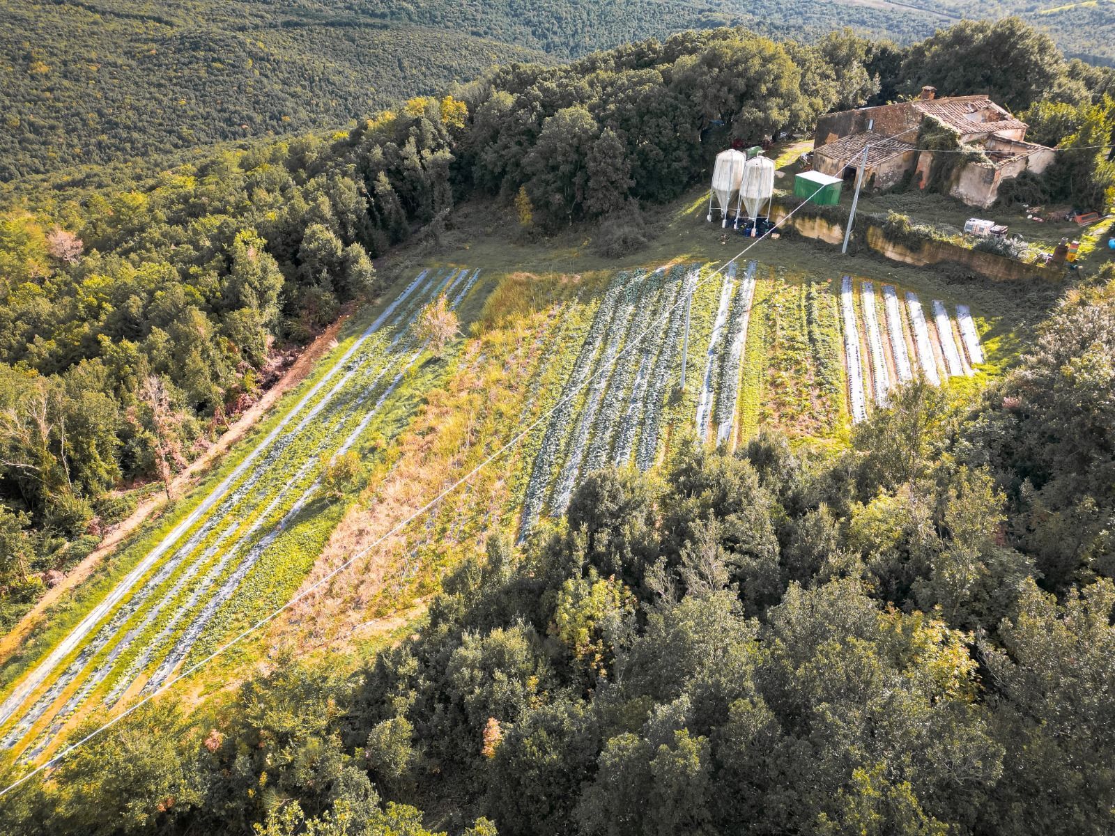 Con il camper in mezzo al verde delle campagne toscane
