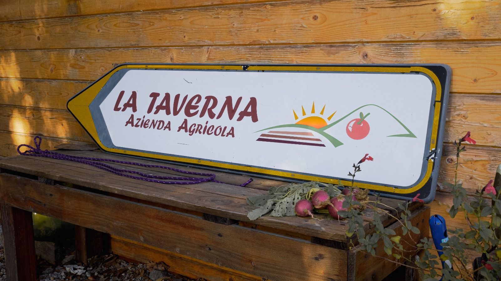 Con il camper in mezzo al verde delle campagne toscane