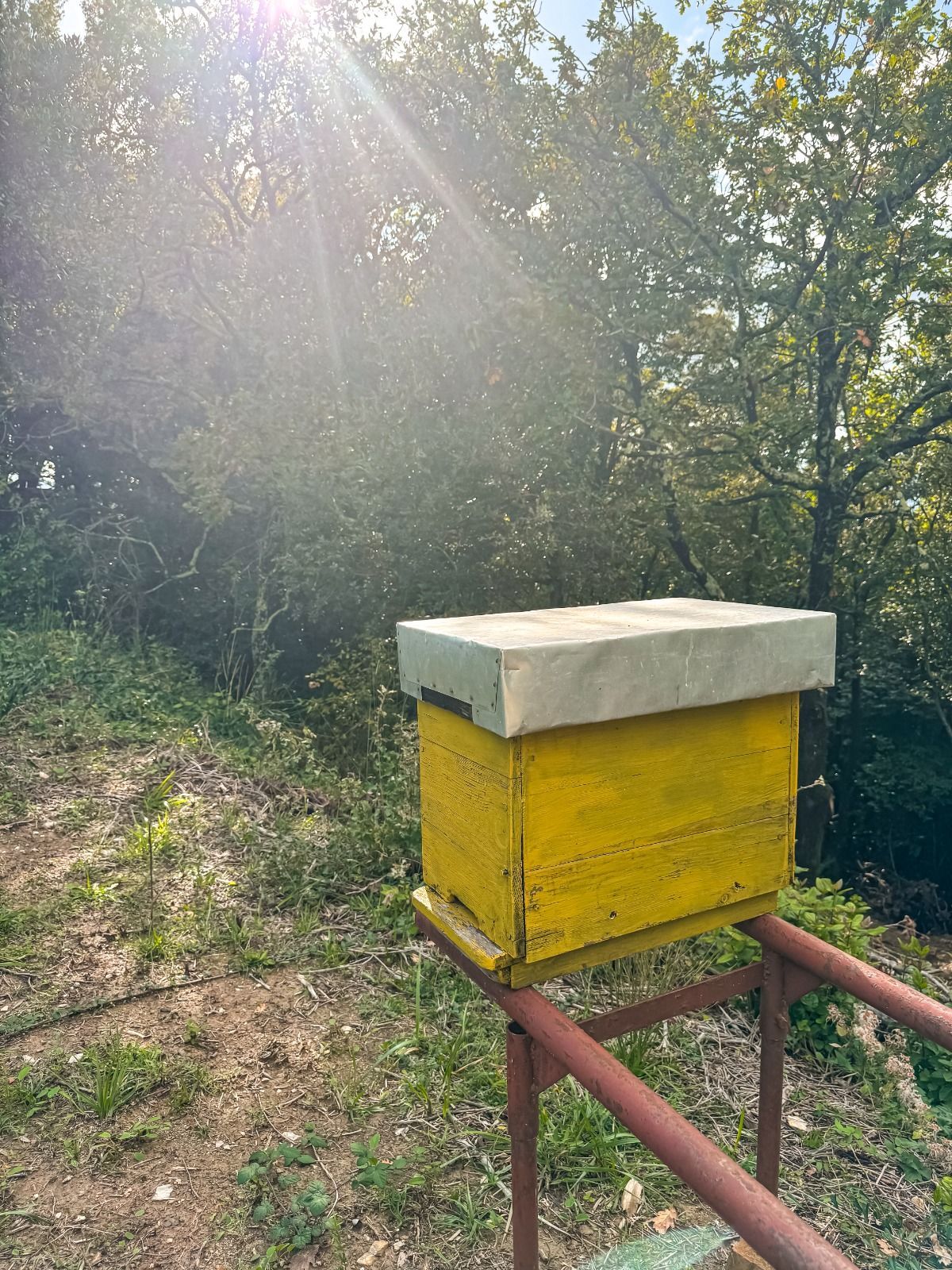 Con il camper in mezzo al verde delle campagne toscane