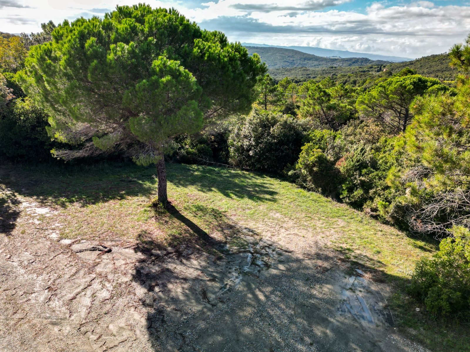 Con il camper in mezzo al verde delle campagne toscane