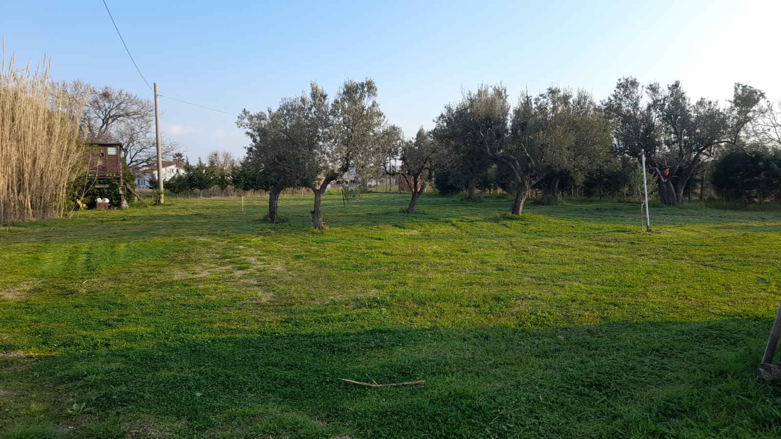 Oasis de paix BOB RANCH