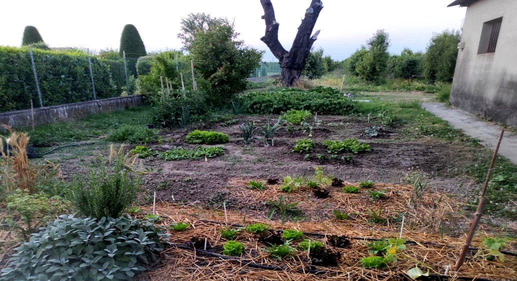 The Garden of Smerio: between orchards and relaxation