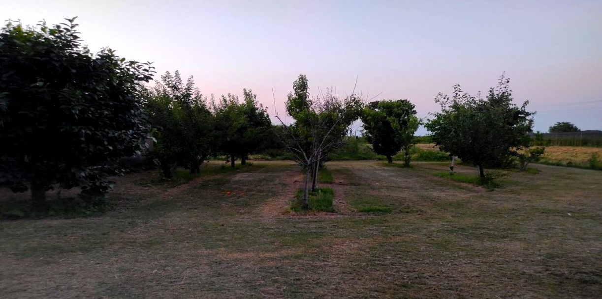 The Garden of Smerio: between orchards and relaxation
