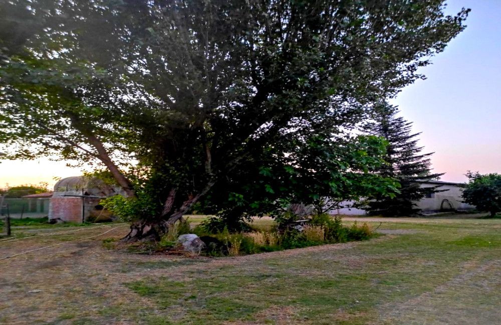 The Garden of Smerio: between orchards and relaxation