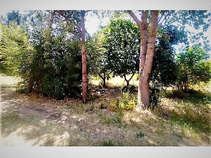 Il giardino di Francesco - Garden spot