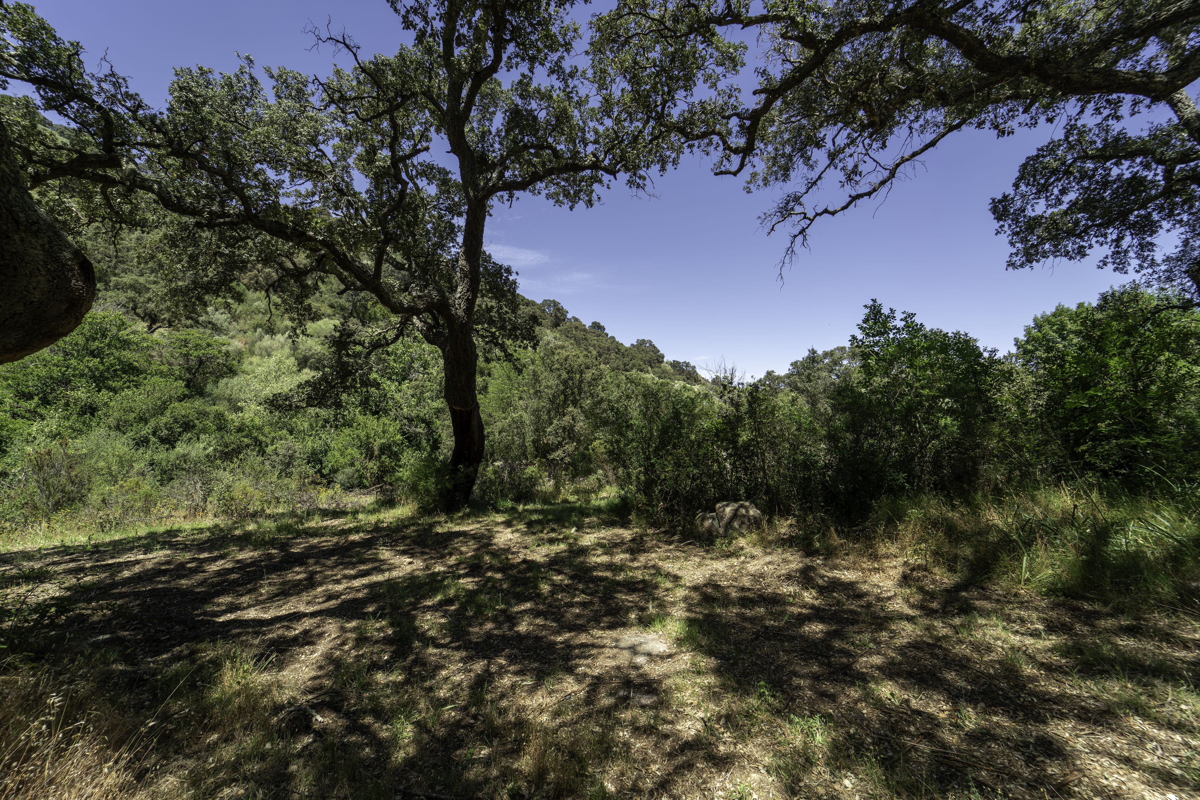 Camping nello Stazzo in Gallura