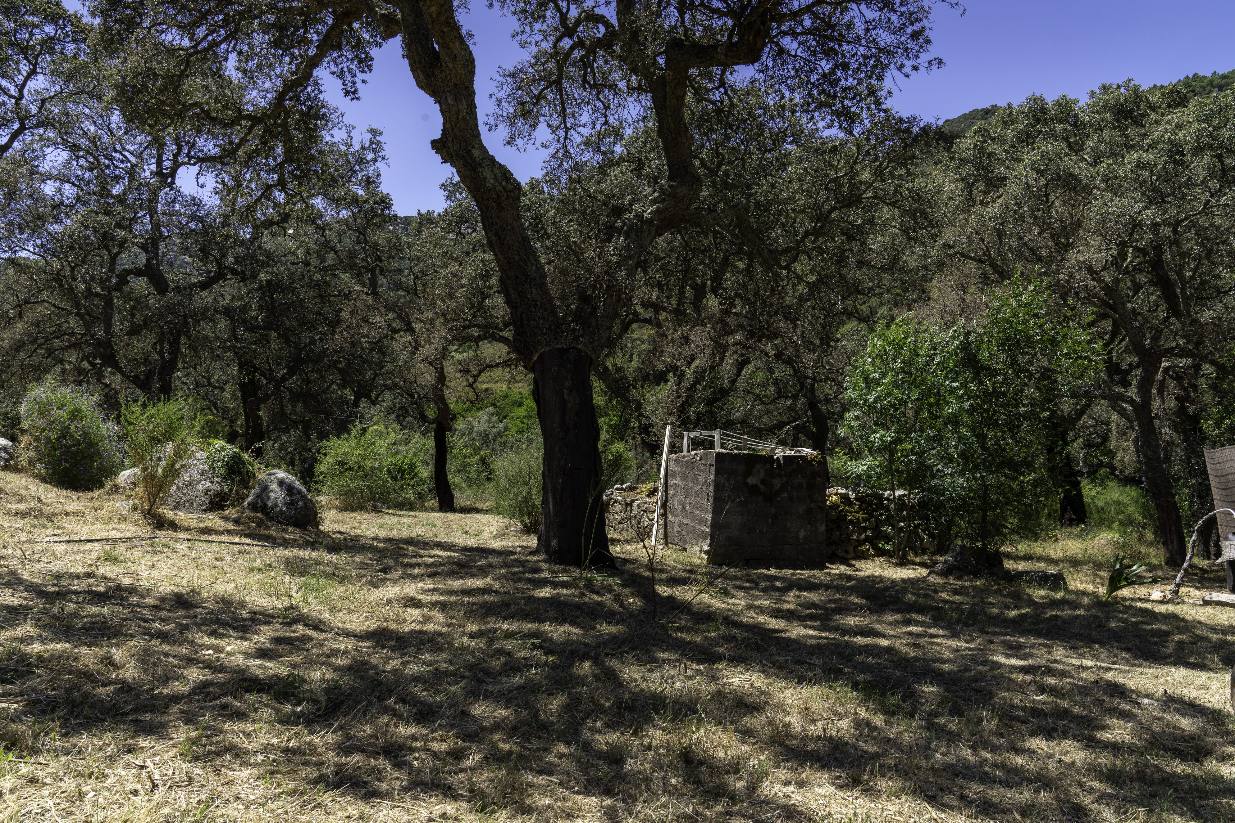 Camping nello Stazzo in Gallura