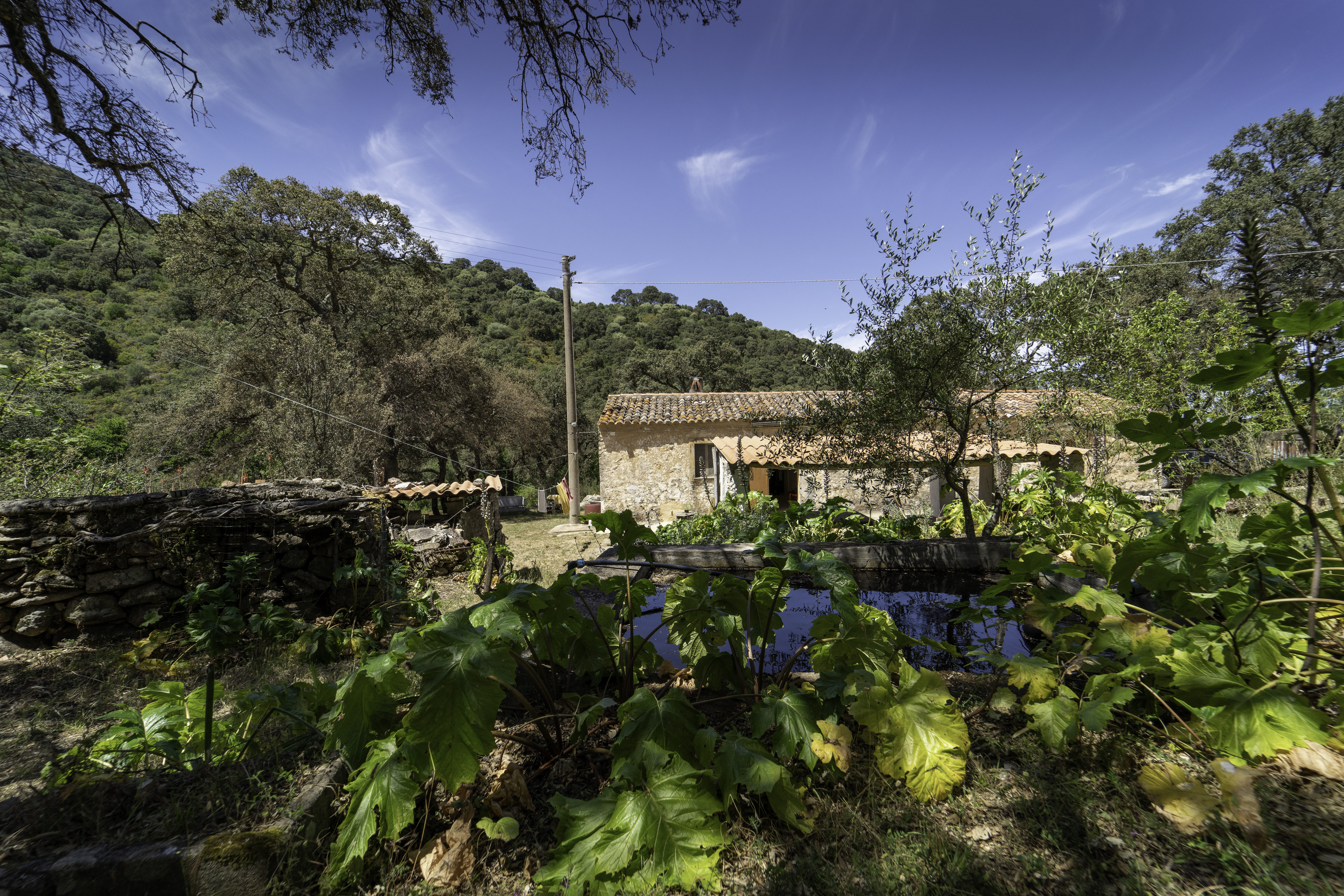 Camping nello Stazzo in Gallura
