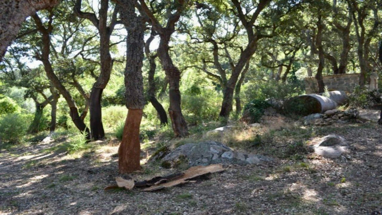 Camping nello Stazzo in Gallura