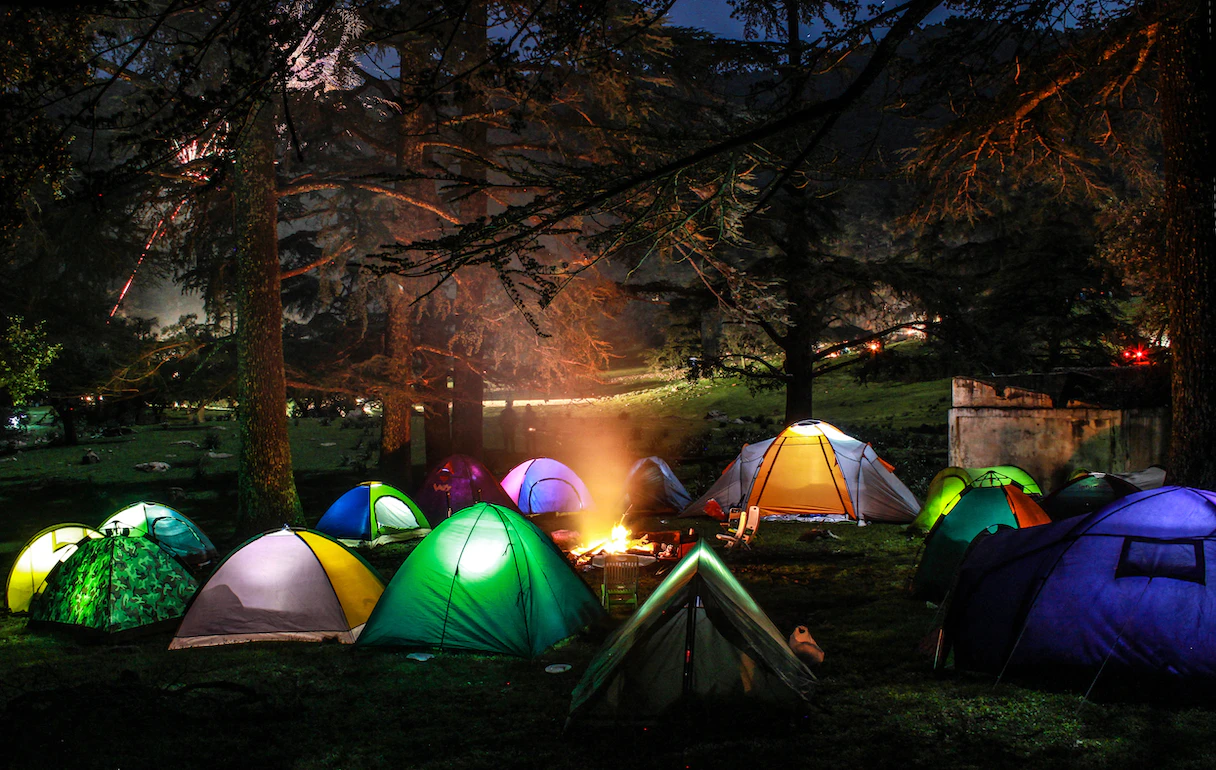 Zone boisée pour l'éco-camping