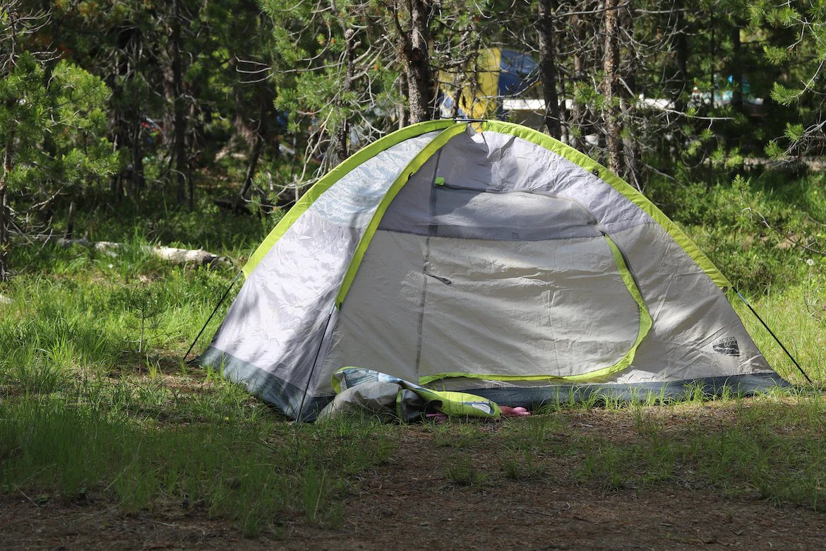 Zone boisée pour l'éco-camping