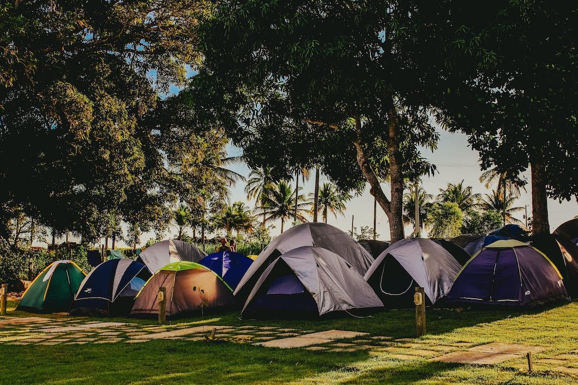 grand parc boisé pour les voyageurs sous tentes