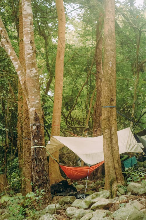 Camping im bewaldeten Garten