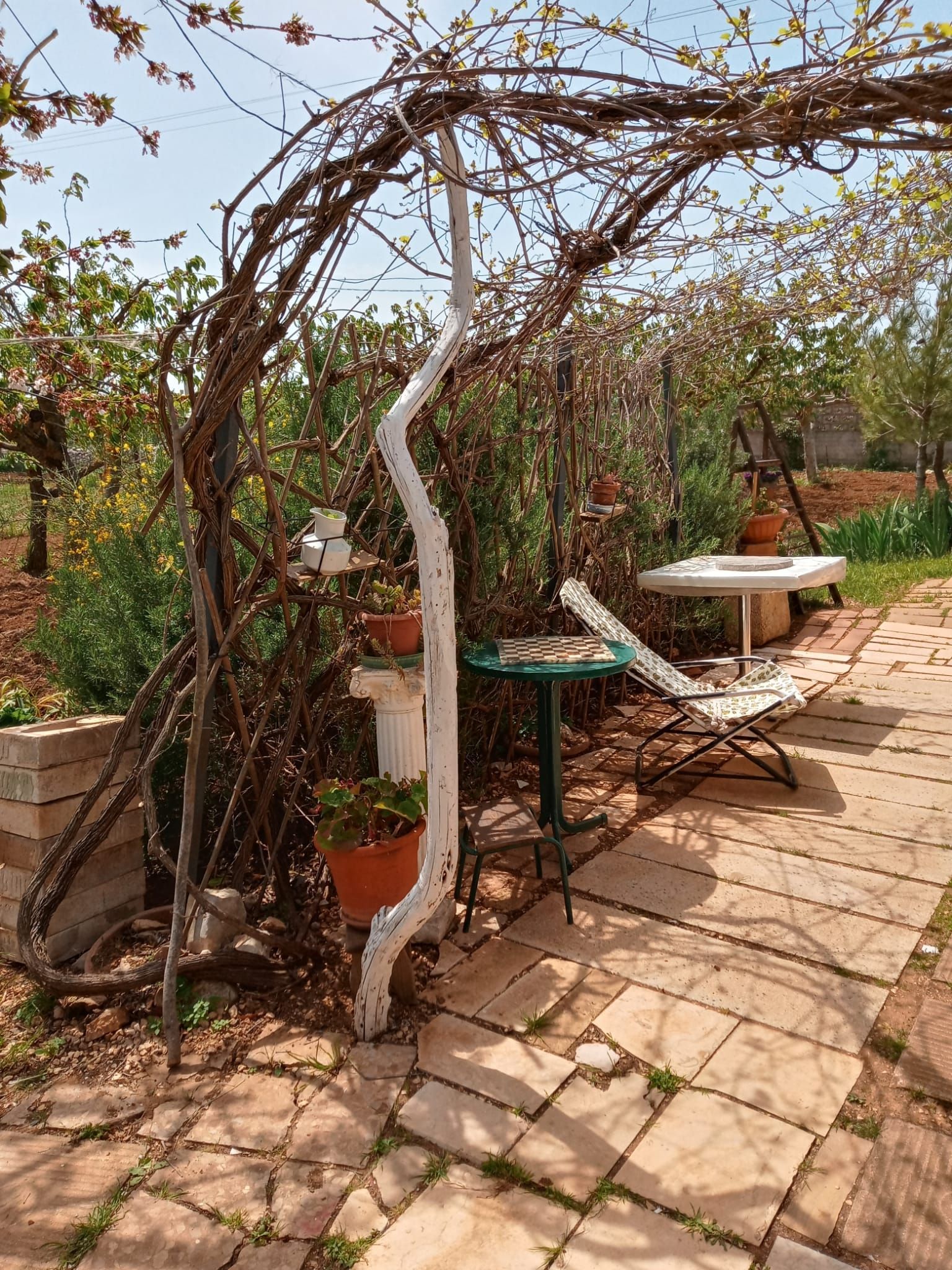 Camping "Immersed in the Puglia countryside" - among olive and cherry trees in Gioia Del Colle