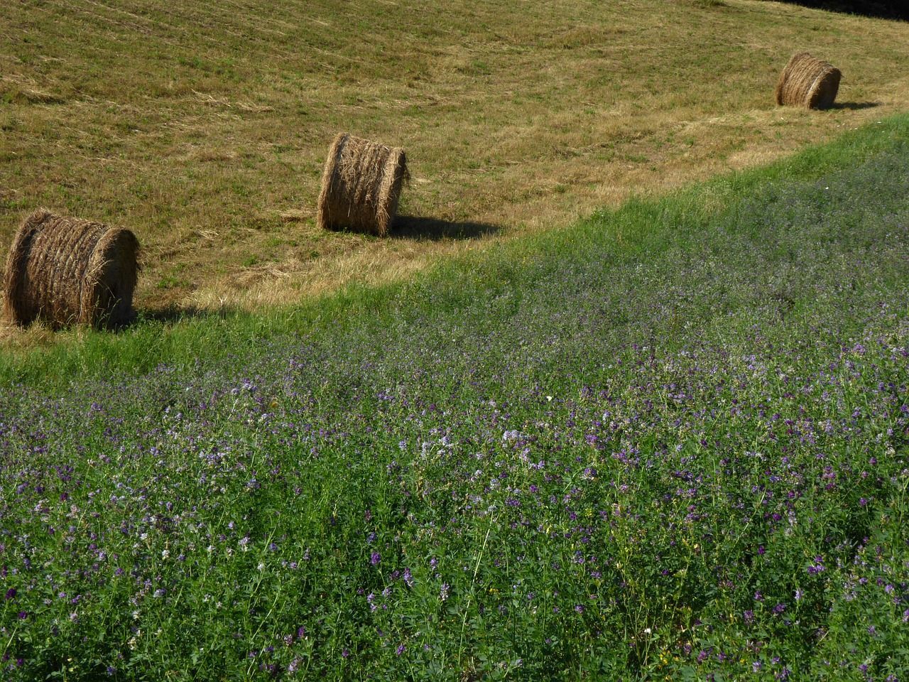 Country House Casalino, un'oasi di benessere