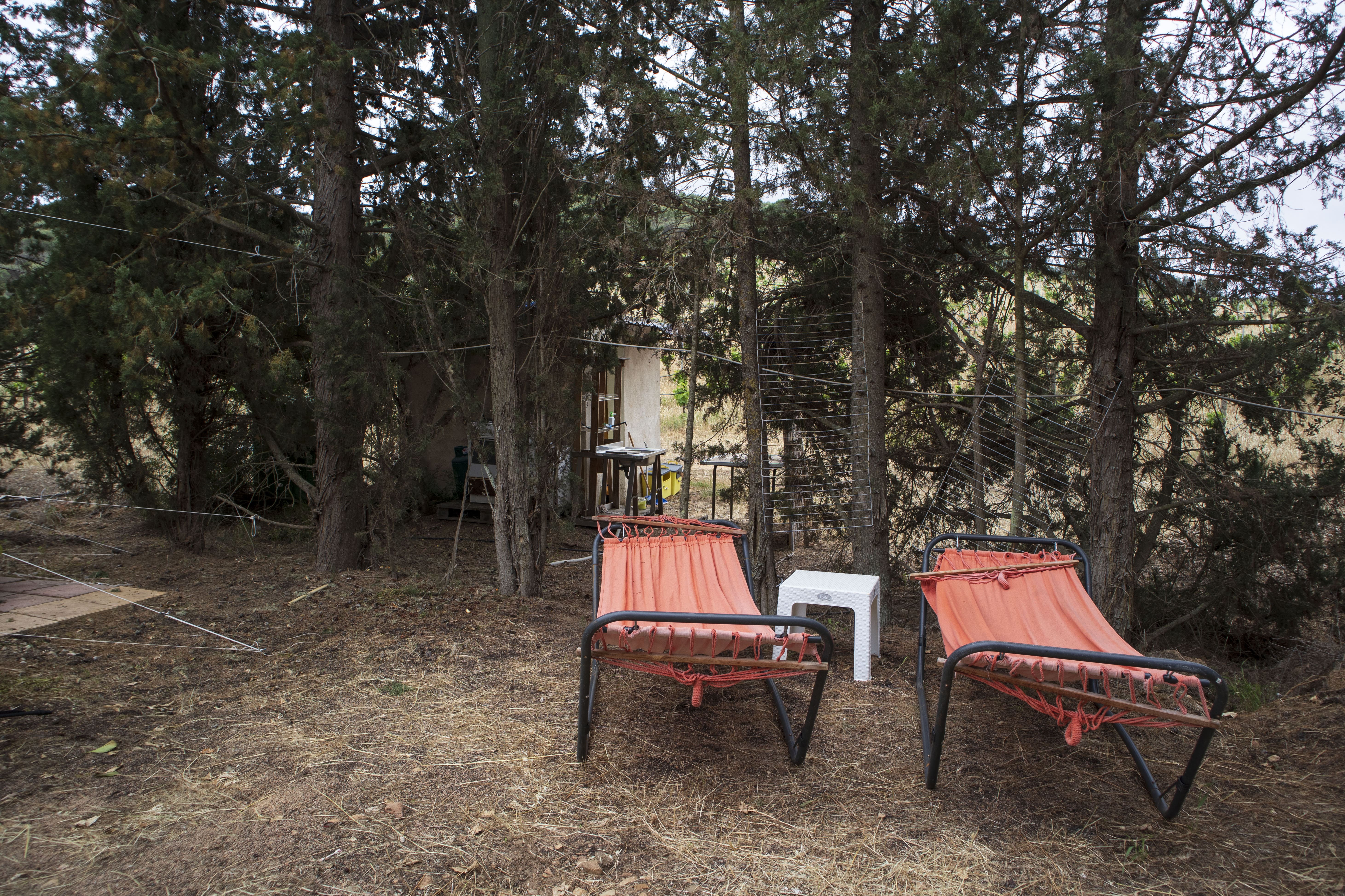 The Oranges' Garden
