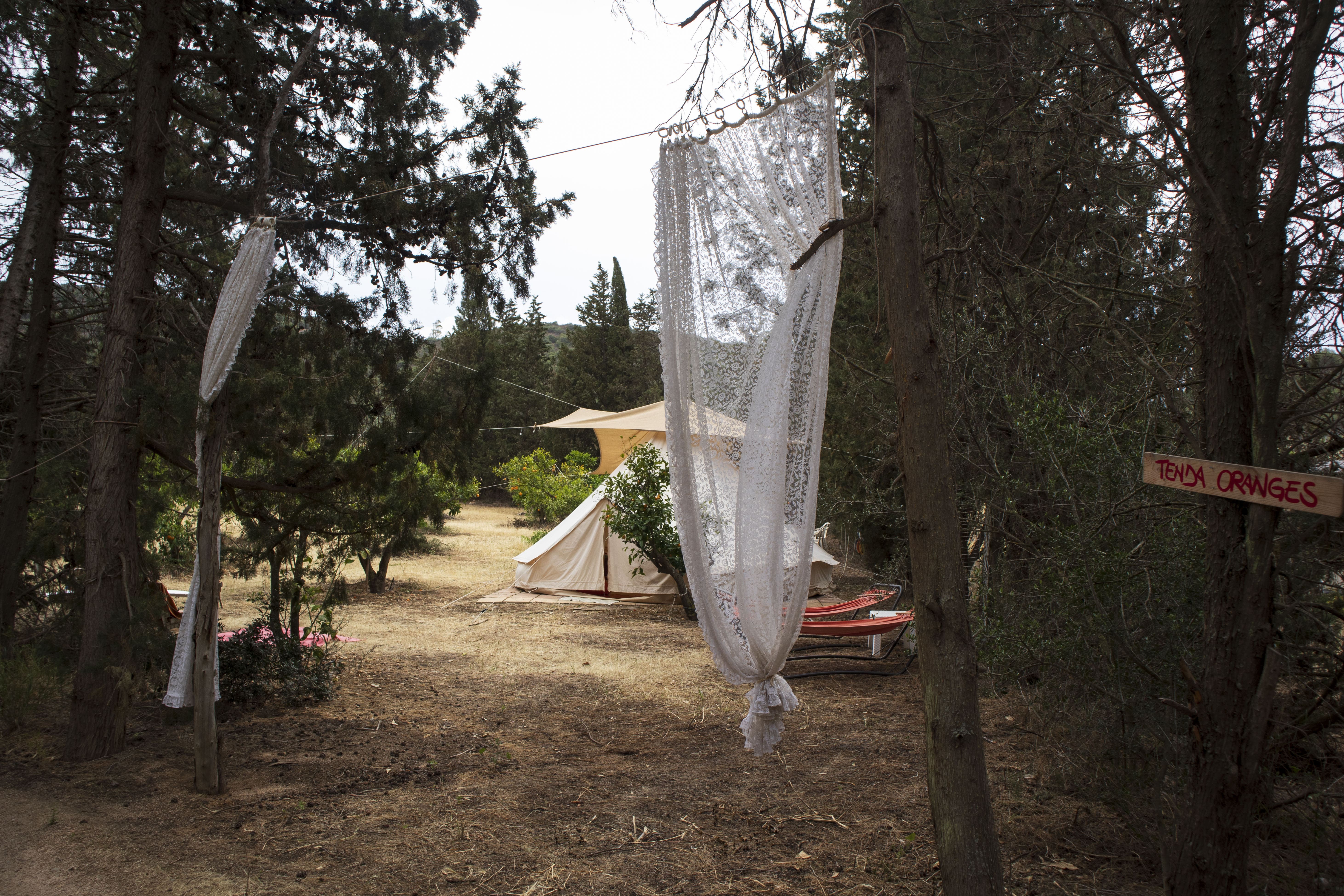 The Oranges' Garden
