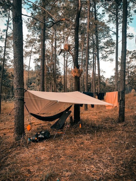 Tenda pronta nei pressi di uno Chalet in legno nella natura incontaminata