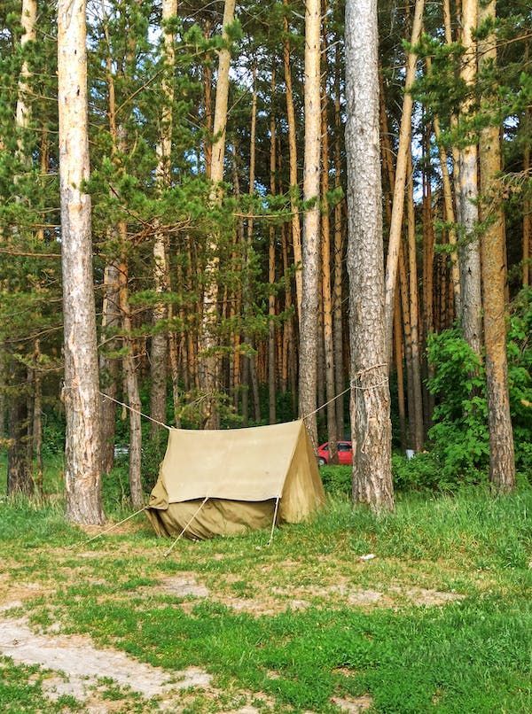 Tenda pronta nei pressi di uno Chalet in legno nella natura incontaminata