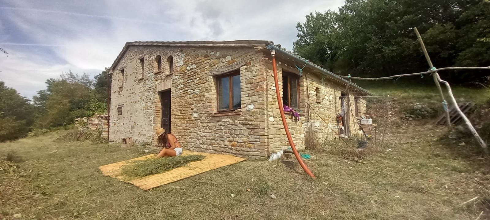 FOREST HEALING CAMPING nel cuore delle Marche