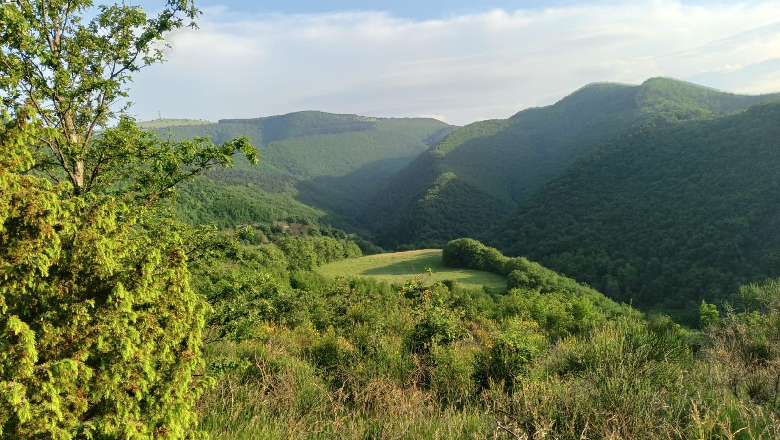FOREST HEALING CAMPING nel cuore delle Marche