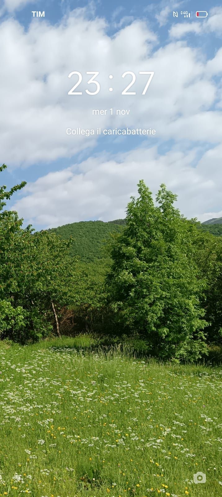 FOREST HEALING CAMPING nel cuore delle Marche