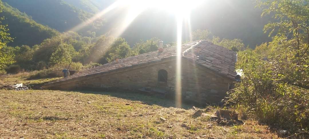 FOREST HEALING CAMPING nel cuore delle Marche