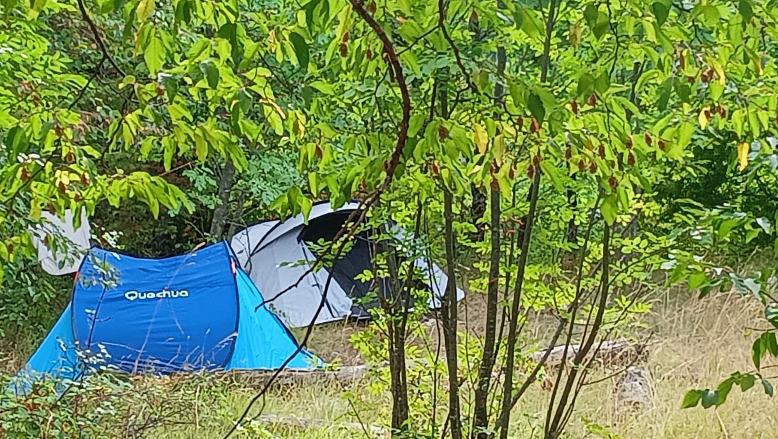 FOREST HEALING CAMPING nel cuore delle Marche