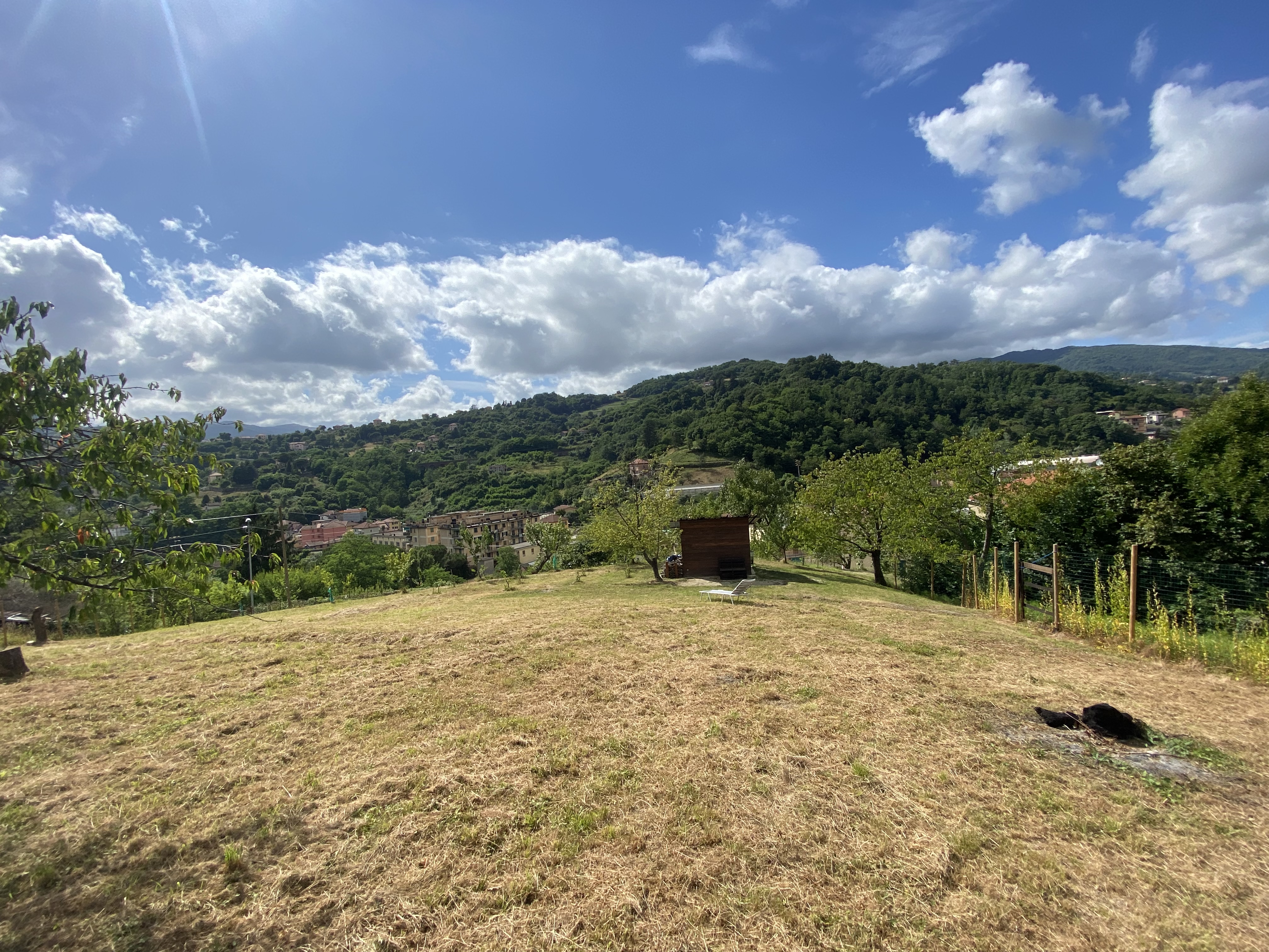"Prato in Prelo" -  natura nella collina pratosa di Prelo (GE)