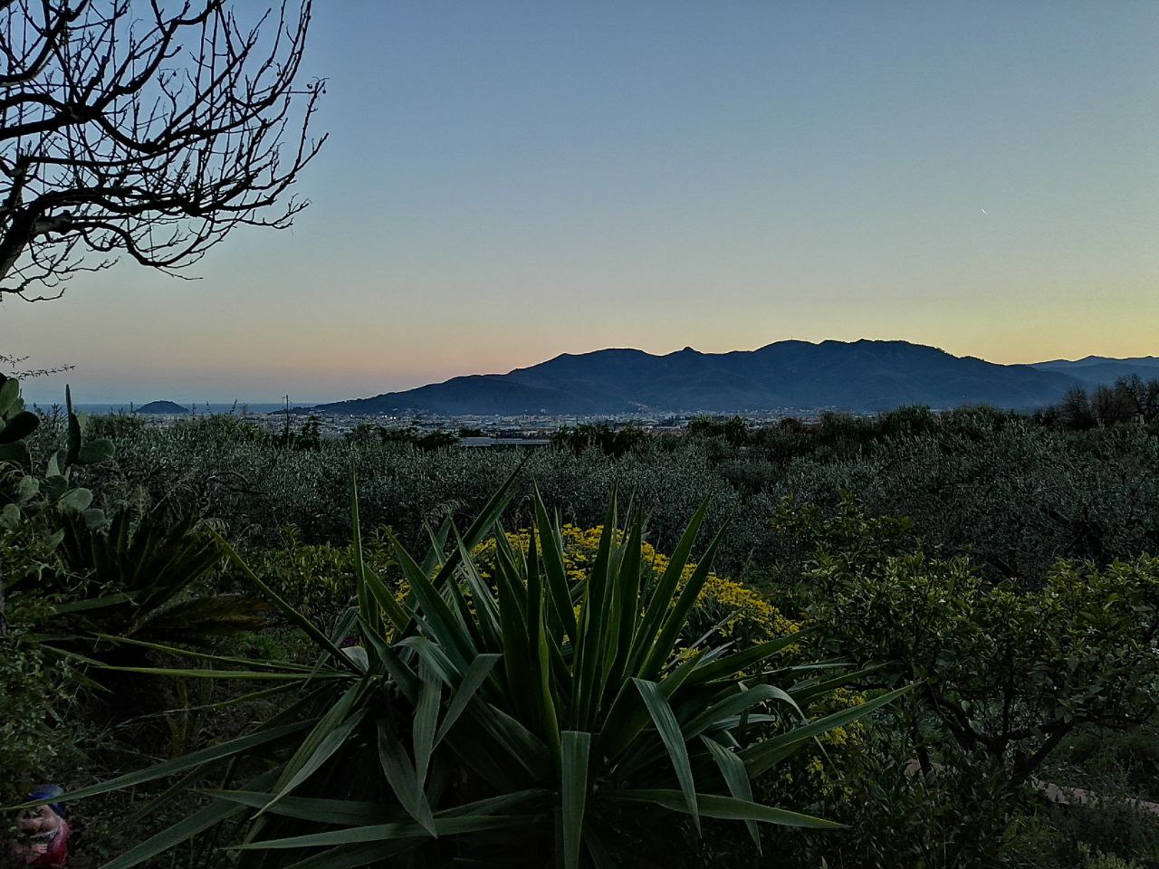 Campsites on the Flower Riviera