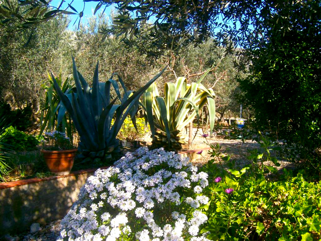 Campsites on the Flower Riviera