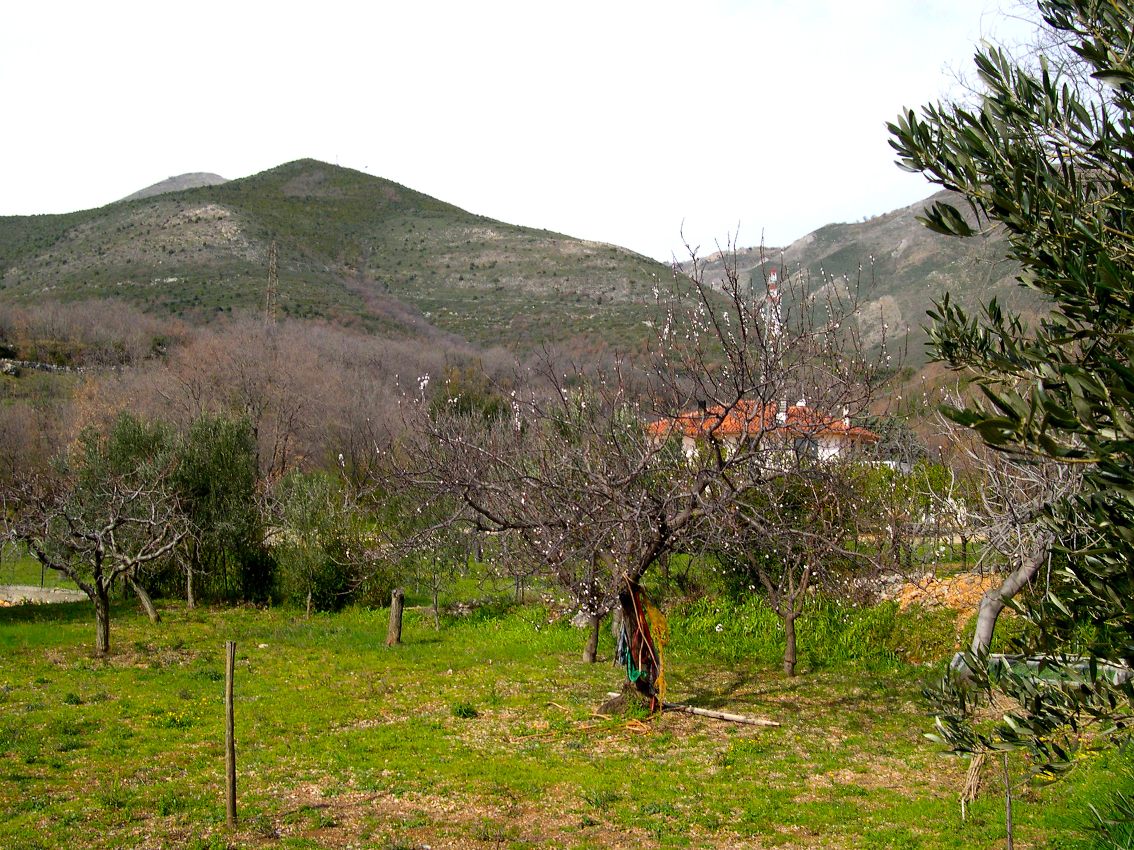 Campsites on the Flower Riviera