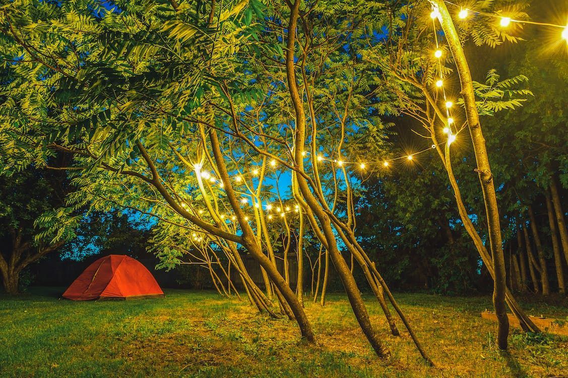 Campsites on the Flower Riviera