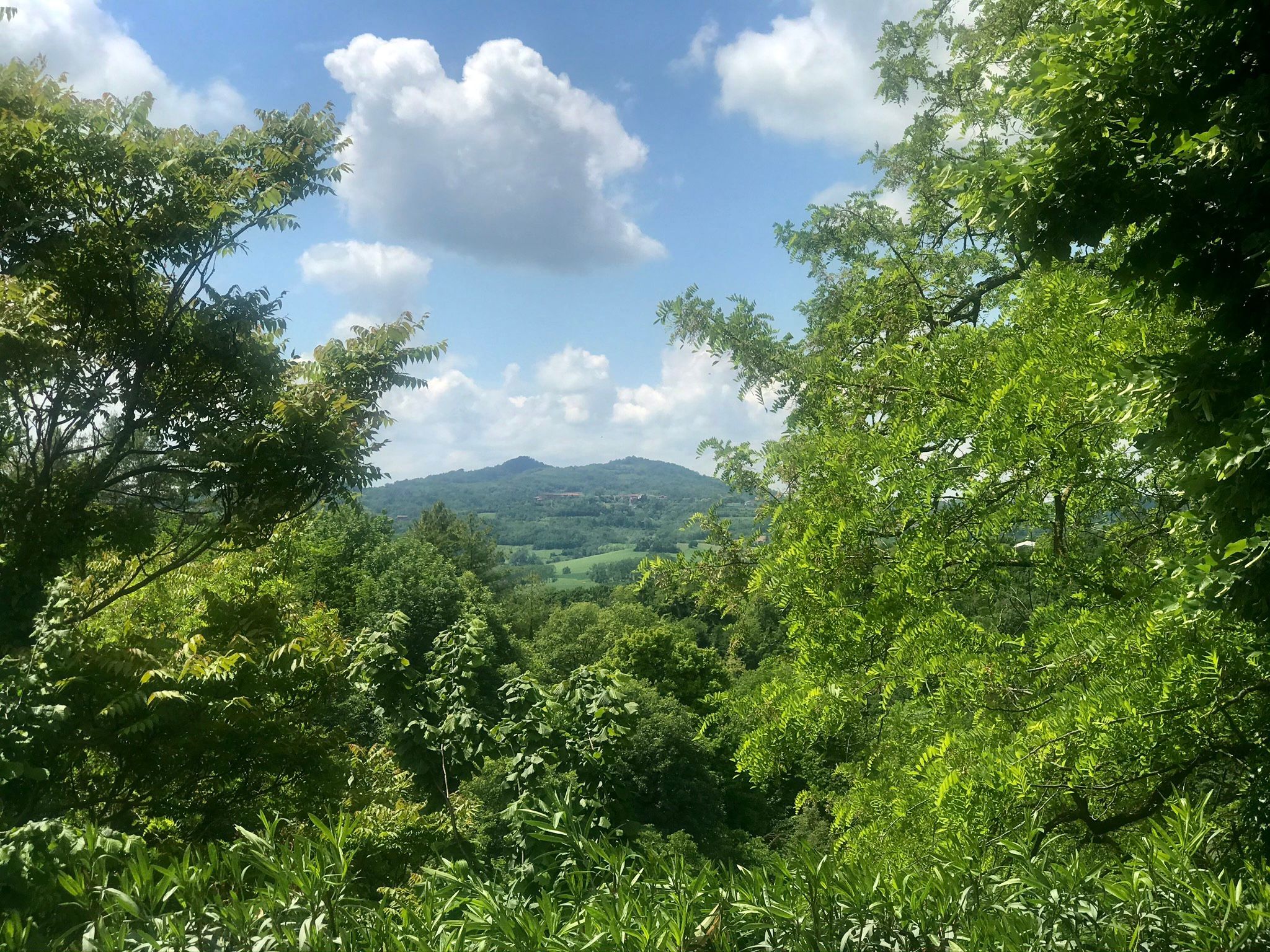 Weinberge, Wälder und Natur im Monferrato