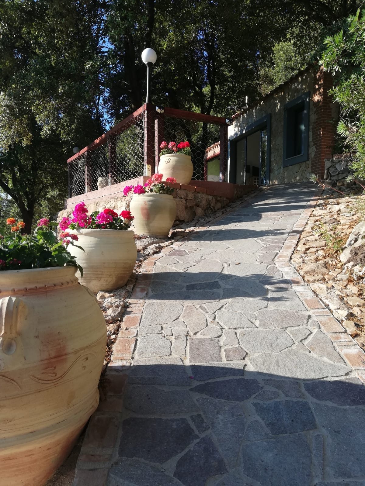 Habitación en el bosque