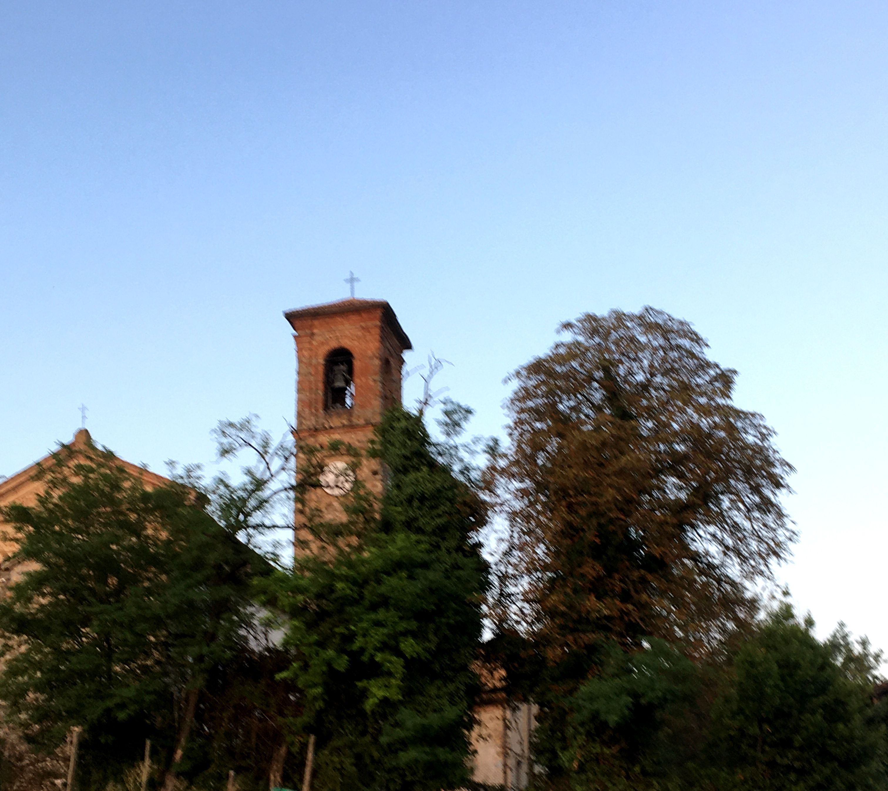 Verger clôturé avec kiosque