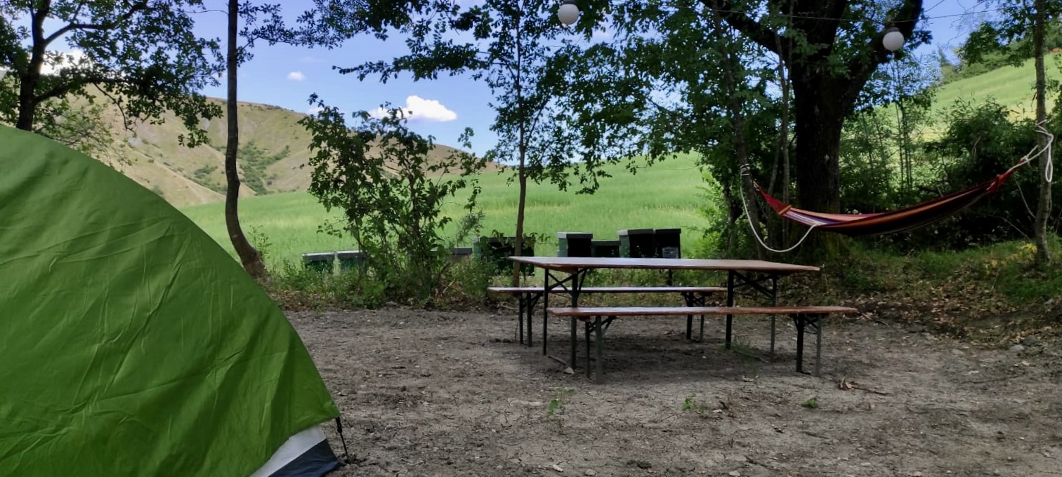Camping Il Podere Calvanella