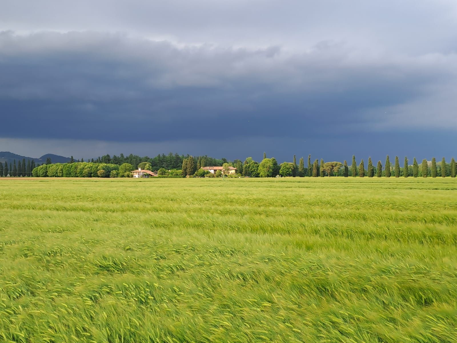 Campeggio in campagna nel Collio, a Gorizia