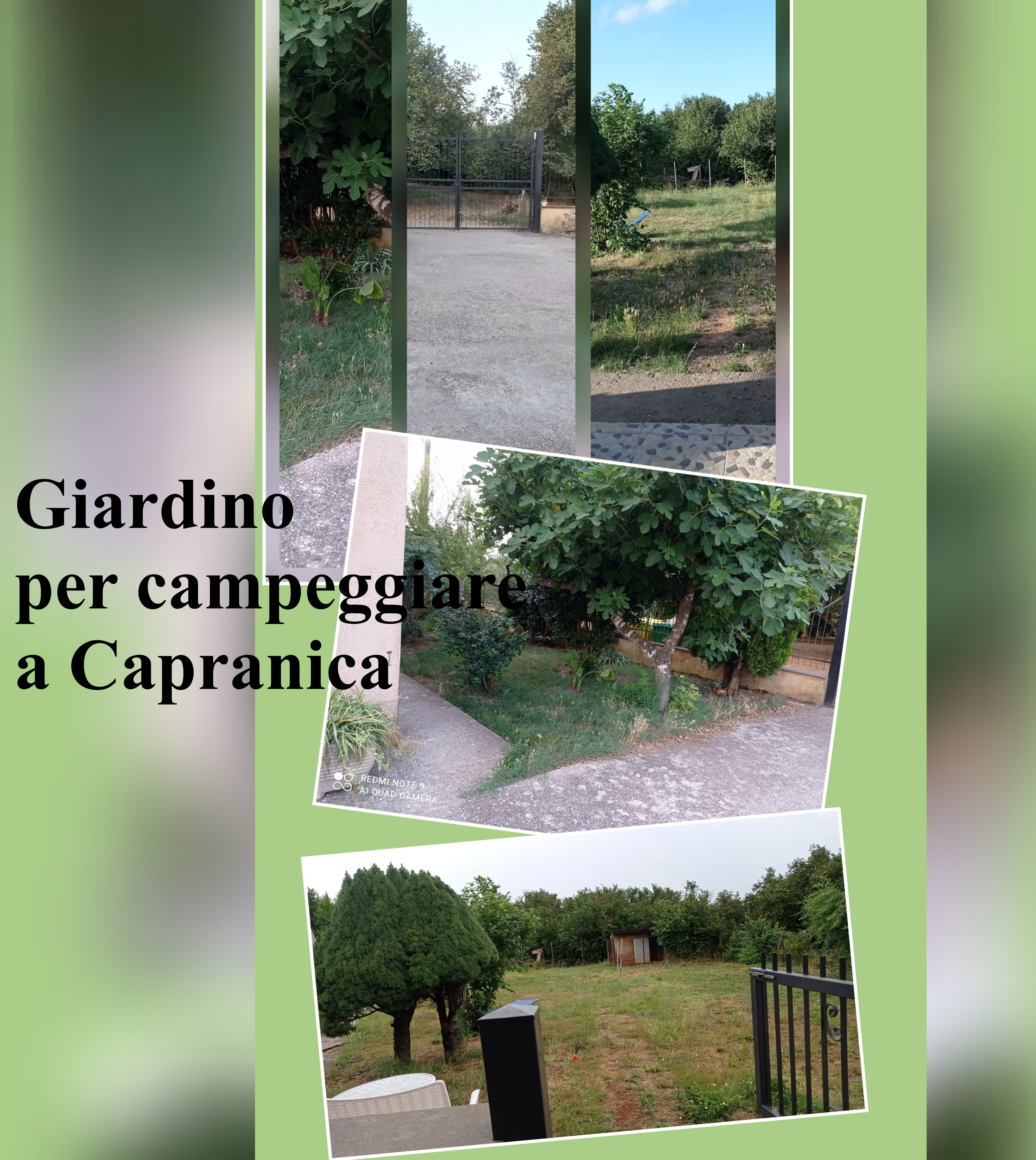 Camping garden in Capranica
