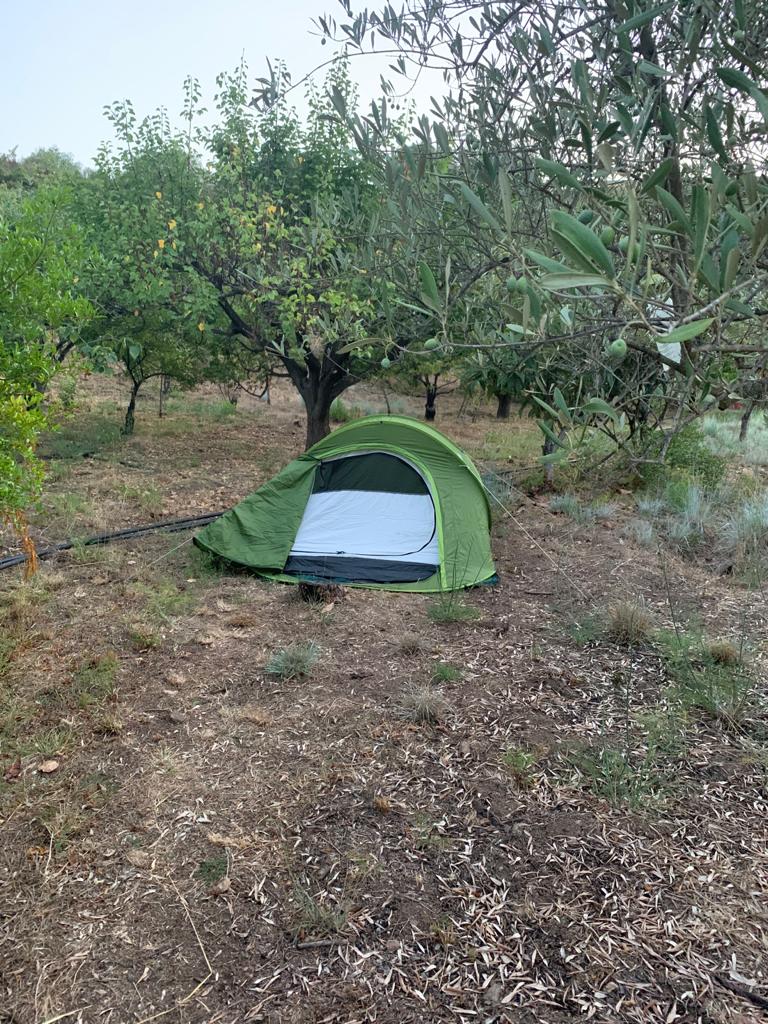 Platz auf dem Land in der Nähe von vielen Attraktionen!