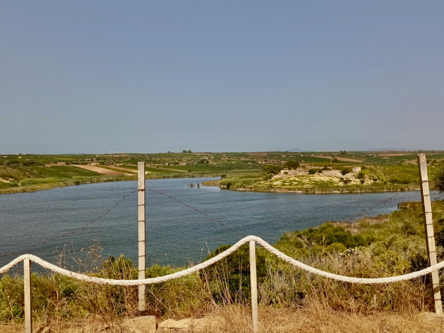 Terreno in campagna siciliana