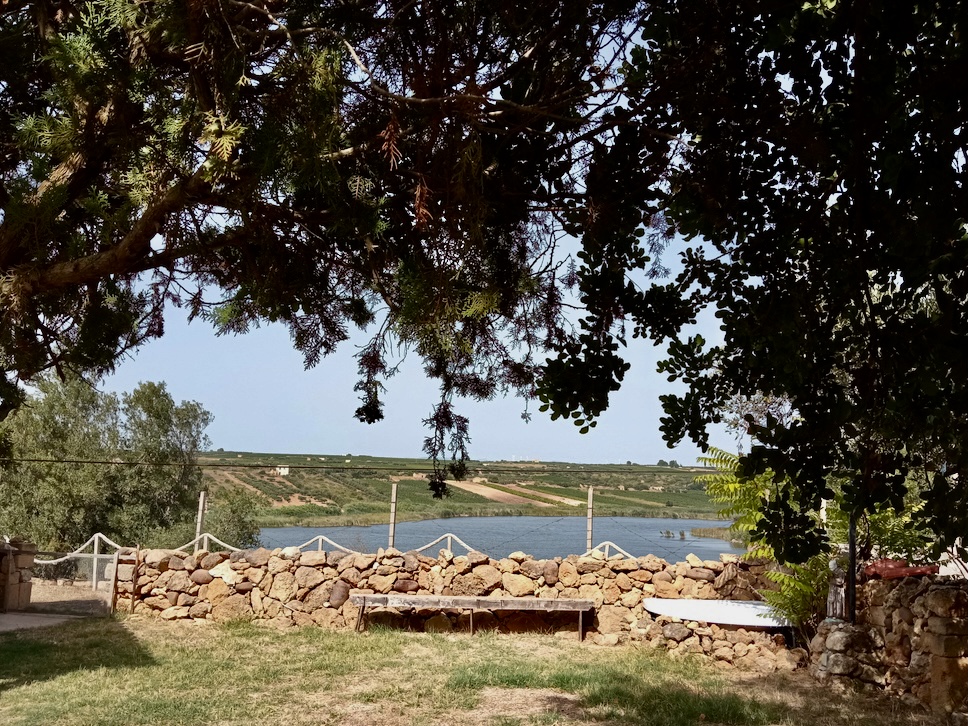 Terreno in campagna siciliana