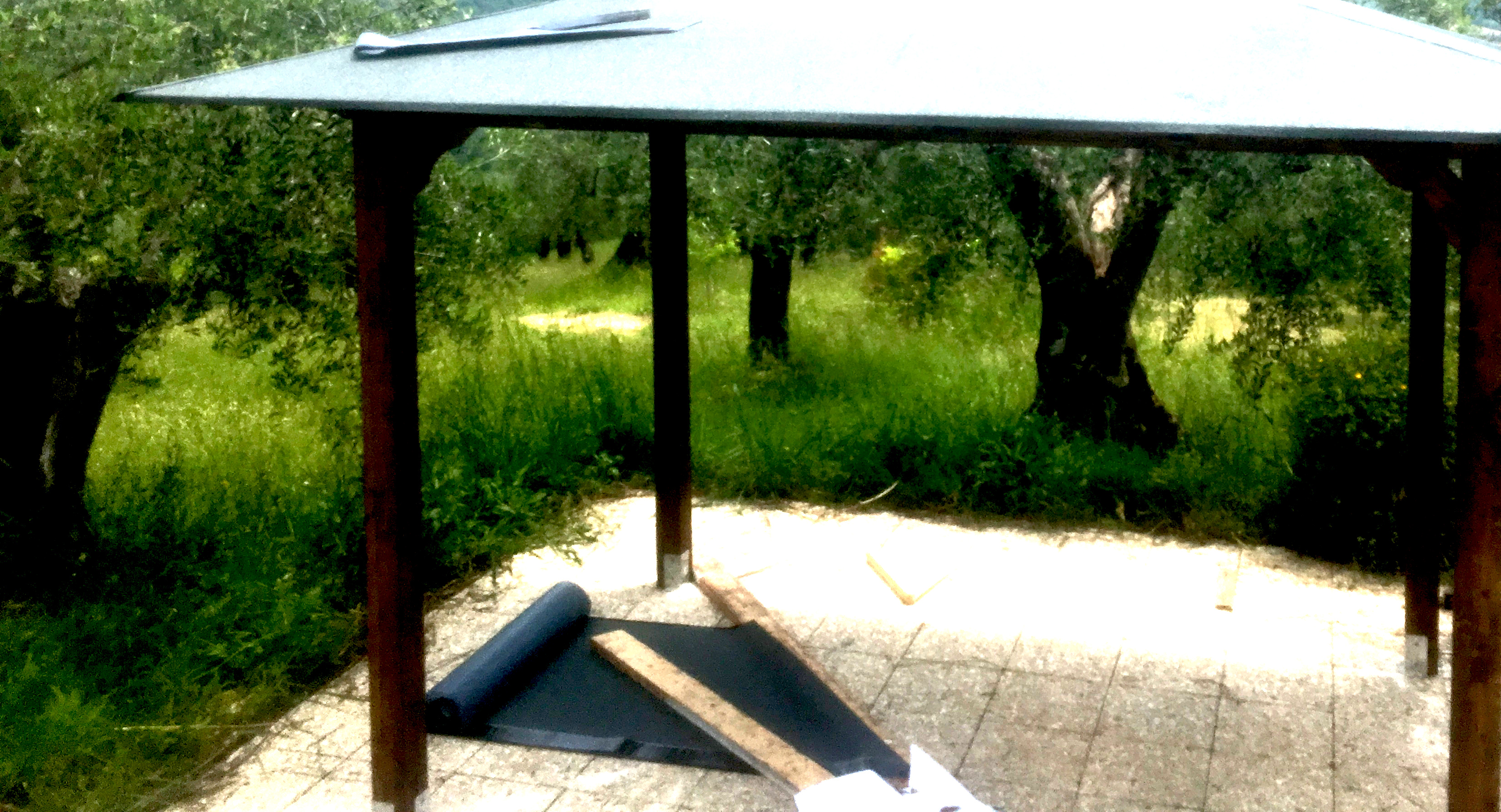 Bungalow tra gli ulivi secolari a Isernia