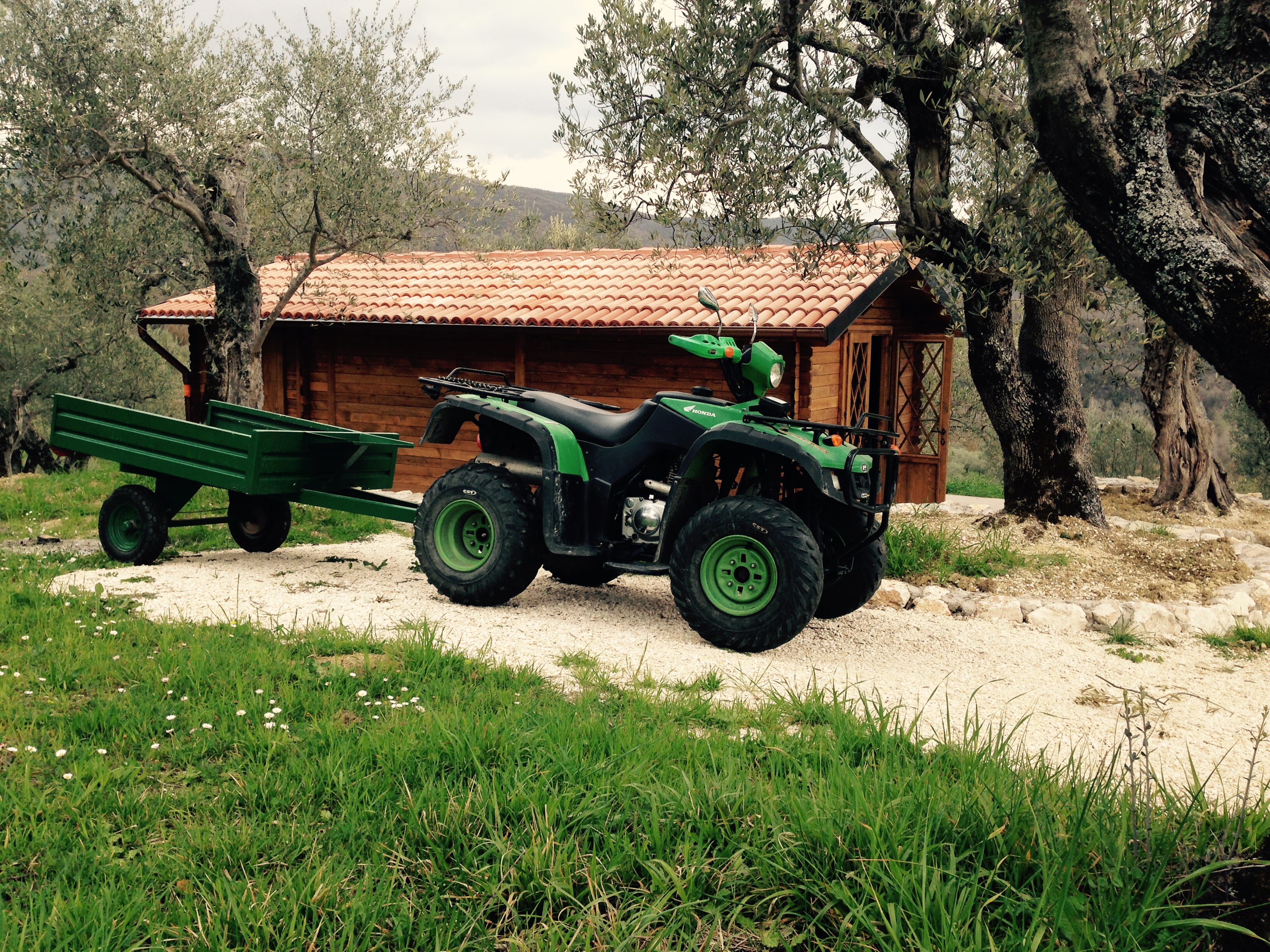 Bungalow tra gli ulivi secolari a Isernia
