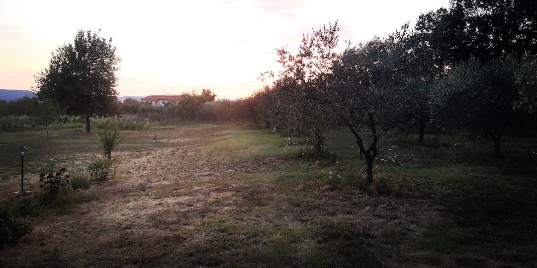 A country refuge among the olive trees: Camping in the suggestive Mugello countryside at the foot of the Apennines