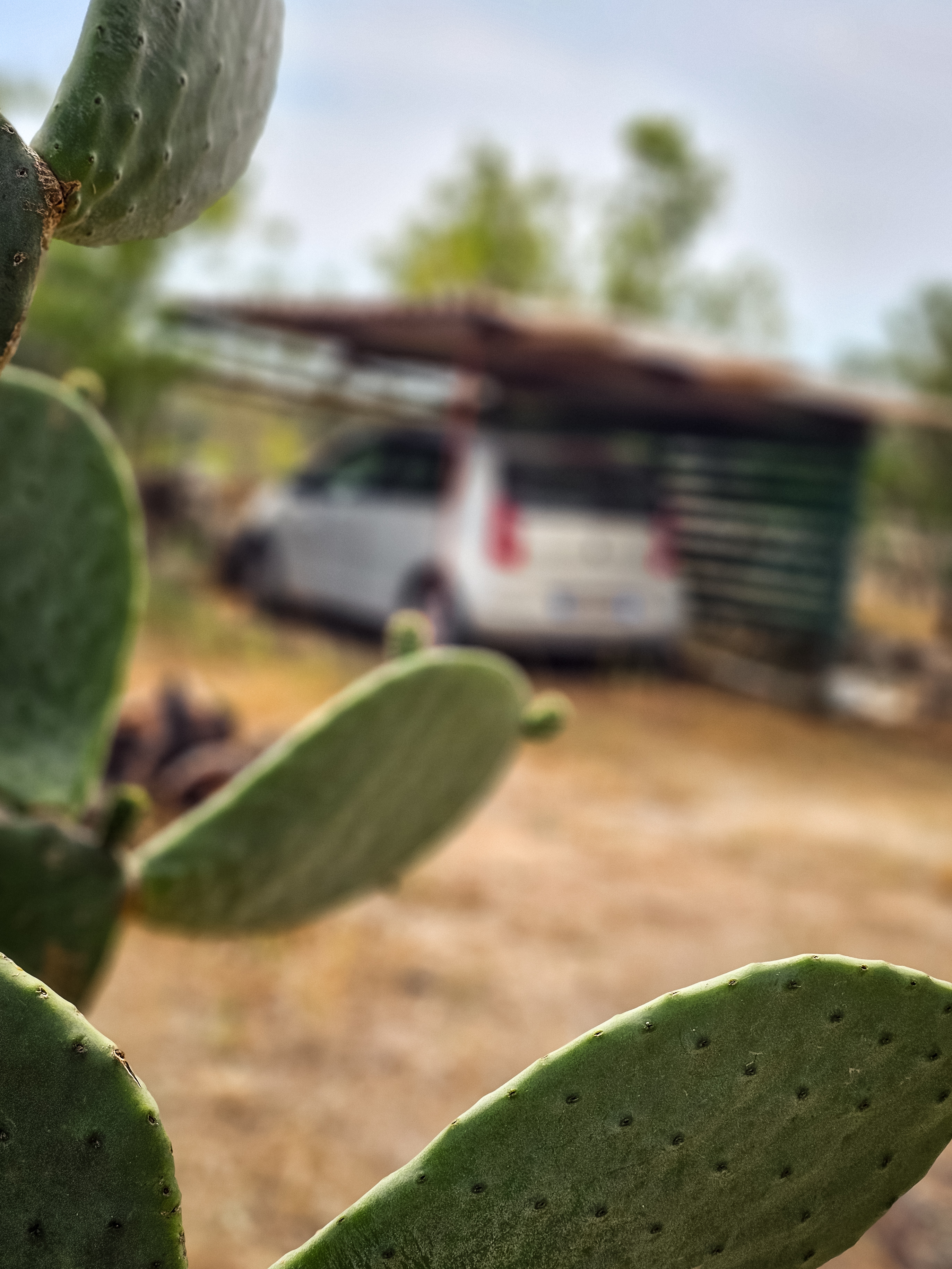 Villa Rustica con Piazzole vista mare per Tenda, Camper e Roulotte