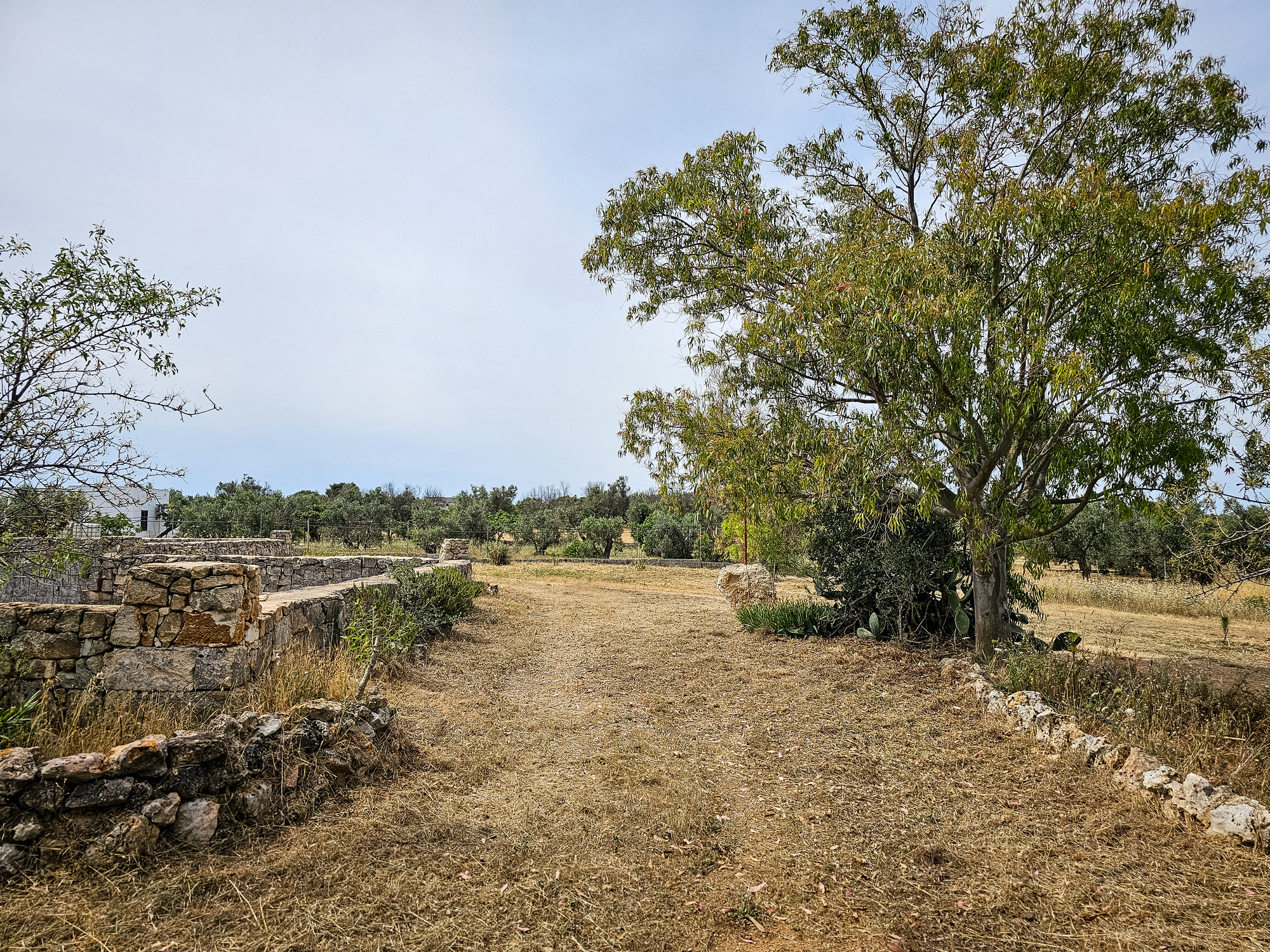 Villa Rustica con Piazzole vista mare per Tenda, Camper e Roulotte